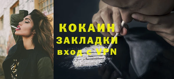 эйфоретик Бородино
