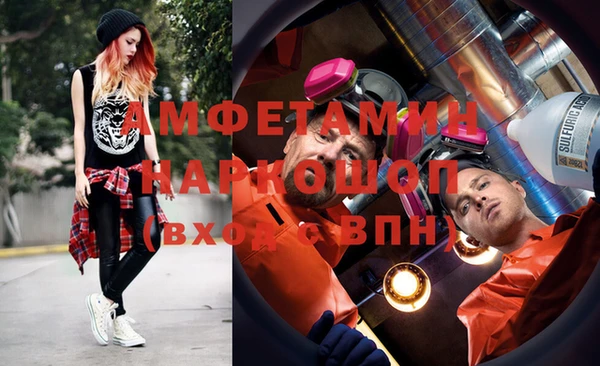 индика Гатчина