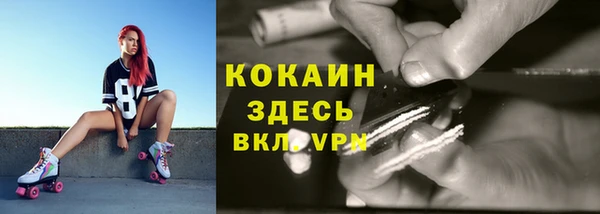 эйфоретик Бородино