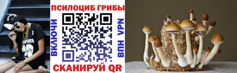 Галлюциногенные грибы Magic Shrooms  закладки  Гремячинск 